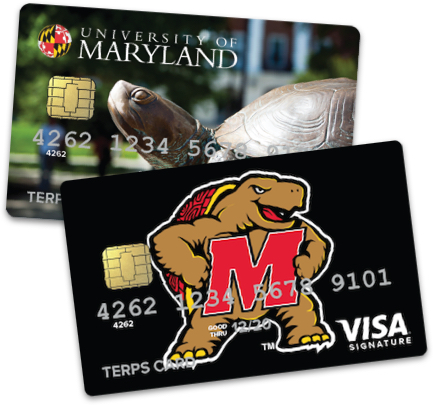 terps-card-image